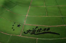 北林天氣預(yù)報(bào)7天