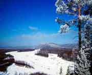 呼中天氣預報60天