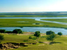 杜爾伯特后天天氣