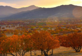扎魯特旗后天天氣