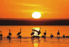 阿巴嘎旗今天天氣