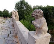 獻(xiàn)縣后天天氣