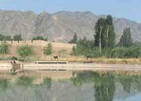 橫山天氣預(yù)報(bào)7天