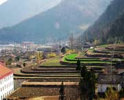 佛坪天氣預(yù)報(bào)7天