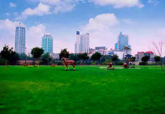 濰城天氣預(yù)報30天