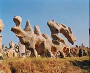 費縣天氣預(yù)報7天