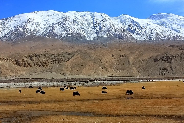 塔什庫(kù)爾干天氣預(yù)報(bào)7天