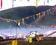 曲麻萊天氣預(yù)報(bào)7天