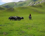 合作天氣預(yù)報(bào)30天