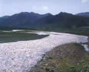 迭部天氣預(yù)報30天