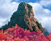 汝陽(yáng)今天天氣