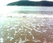 象山天氣預報40天