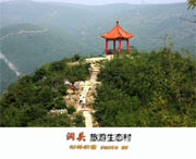 洞頭天氣預報7天