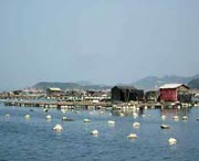 連江天氣預報15天