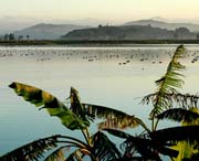 柘榮天氣預(yù)報(bào)7天