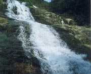 長(zhǎng)泰后天天氣