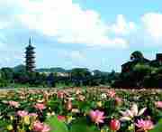 石城天氣預(yù)報(bào)40天