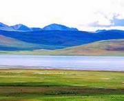 務(wù)川后天天氣