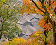 三穗天氣預(yù)報(bào)7天