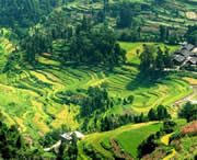 思南天氣預(yù)報7天