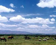 威寧天氣預(yù)報(bào)15天