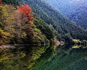 南雄天氣預(yù)報7天