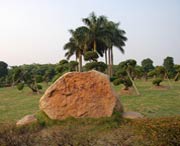 新會(huì)后天天氣