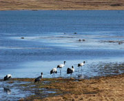 會(huì)澤天氣預(yù)報(bào)7天