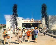 東興天氣預報7天